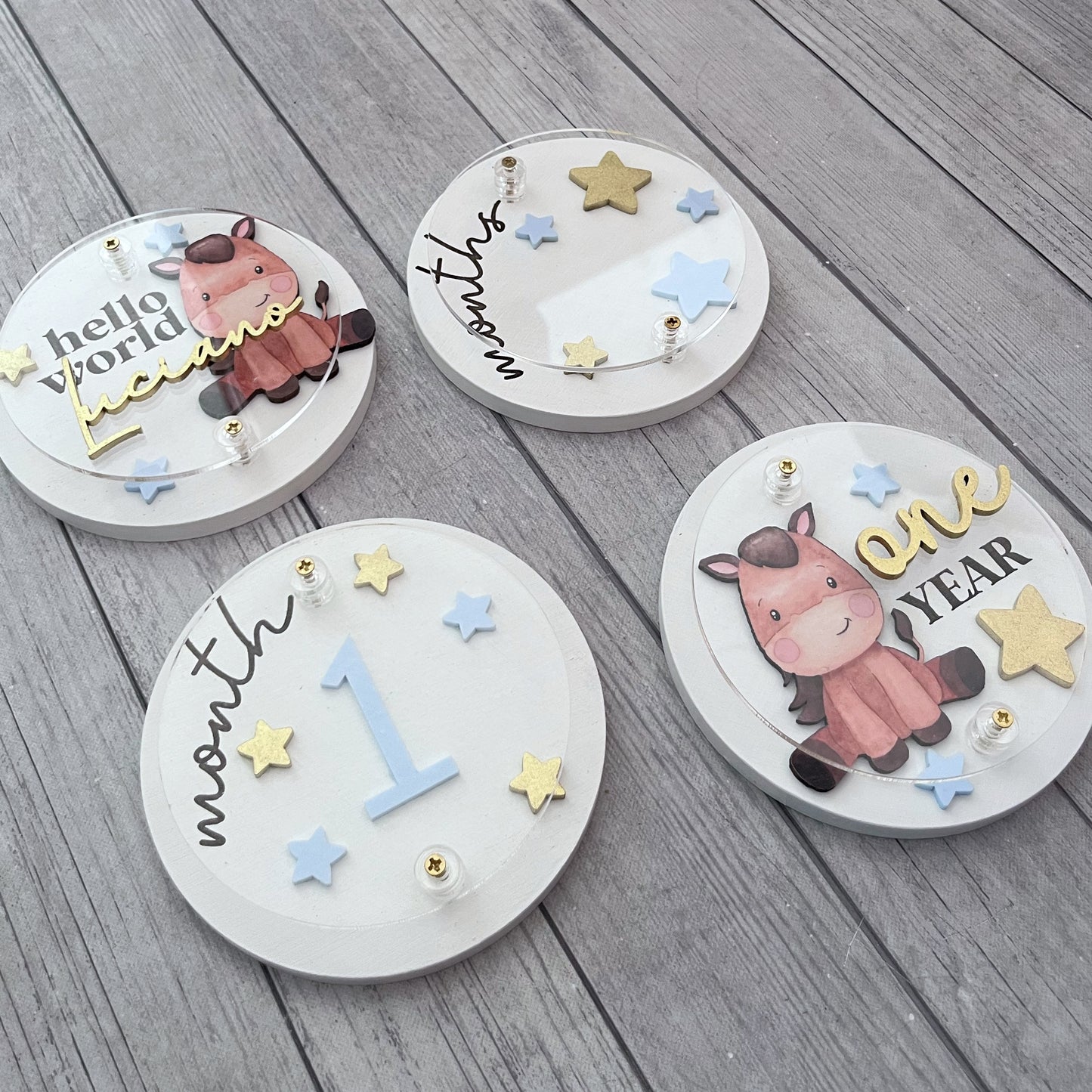 Taggs caballo con inicial